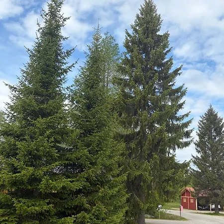 Kuusitie In The Center Of דירה ראנואה